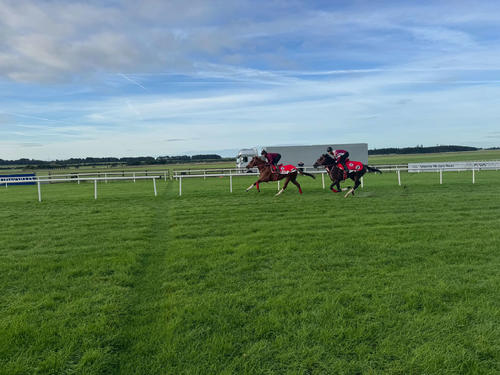 笠松競馬場放浪記 ４ ホッとできる空間での裏話岐阜新聞デジタル