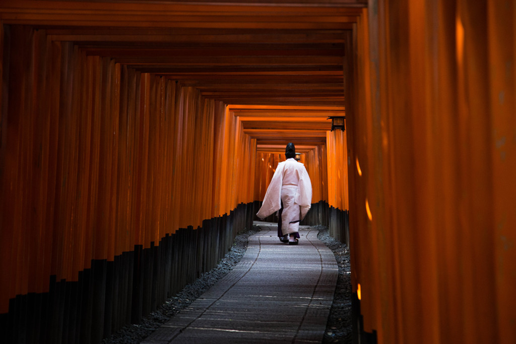夜の伏見稲荷大社で特別な体験をしよう