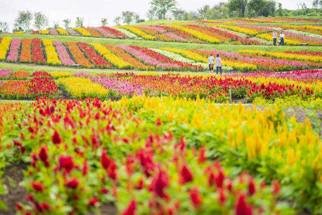 栃木 那須塩原のおすすめ観光スポットランキング22選！定番を厳選！ じゃらんニュース