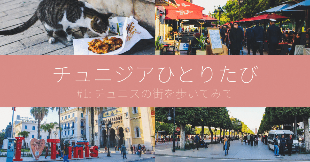 チュニジア女子ひとり旅♪ サベアルギル！チュニジア旅行記STW