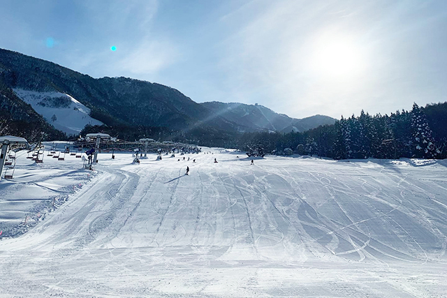 志賀高原中央エリア レンタルショップ アルピナスポーツ ALPINA SPORTS