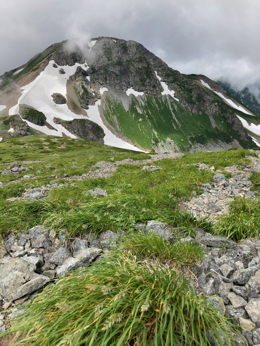 白馬岳 登山 5月