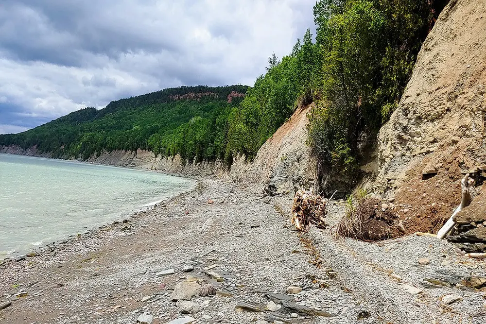 古地図に描かれた「悪魔の島」 カナダの東の海に？ - 日本経済新聞
