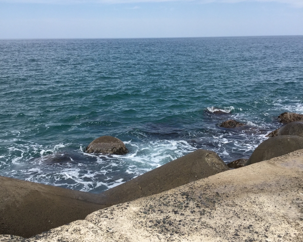 橋津でシロギス釣り龍一郎のアリバイ