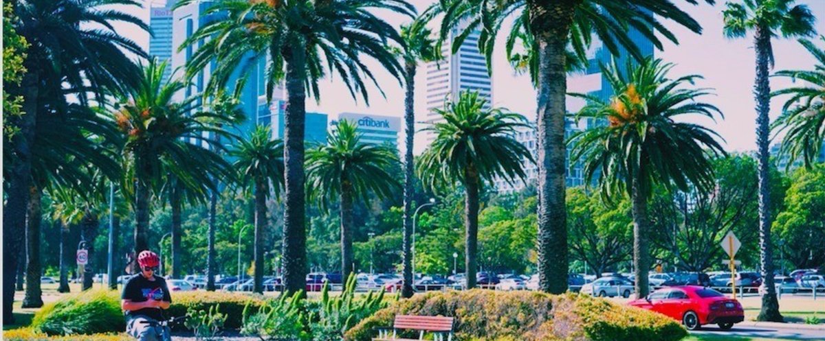 2025年版 ピナクルズ観光の完全ガイド - 行き方、見所、ツアー紹介