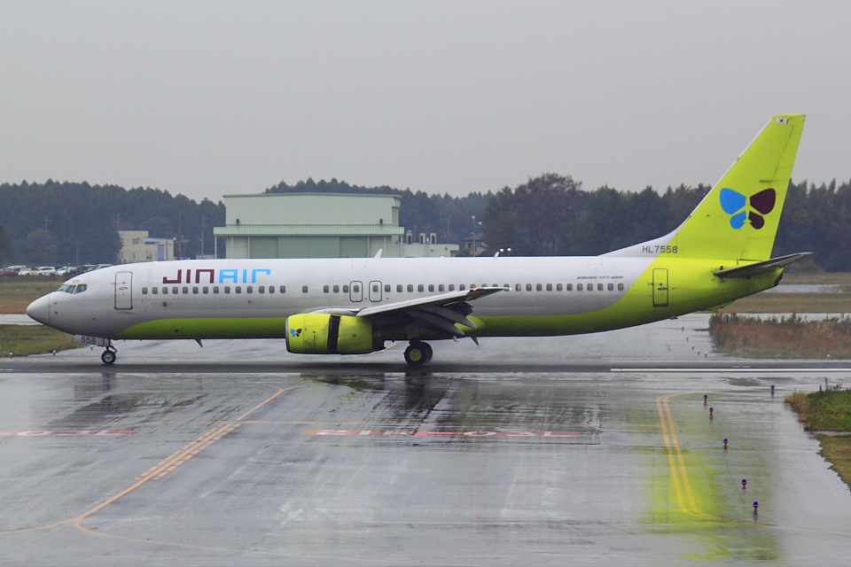 緑色のANA機、787で10月復活 環境活動をPR