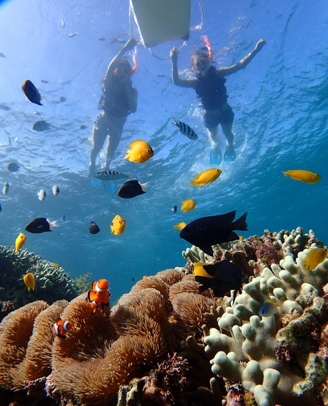 松田地区体験交流センターの口コミ・体験談一覧アクティビティジャパン