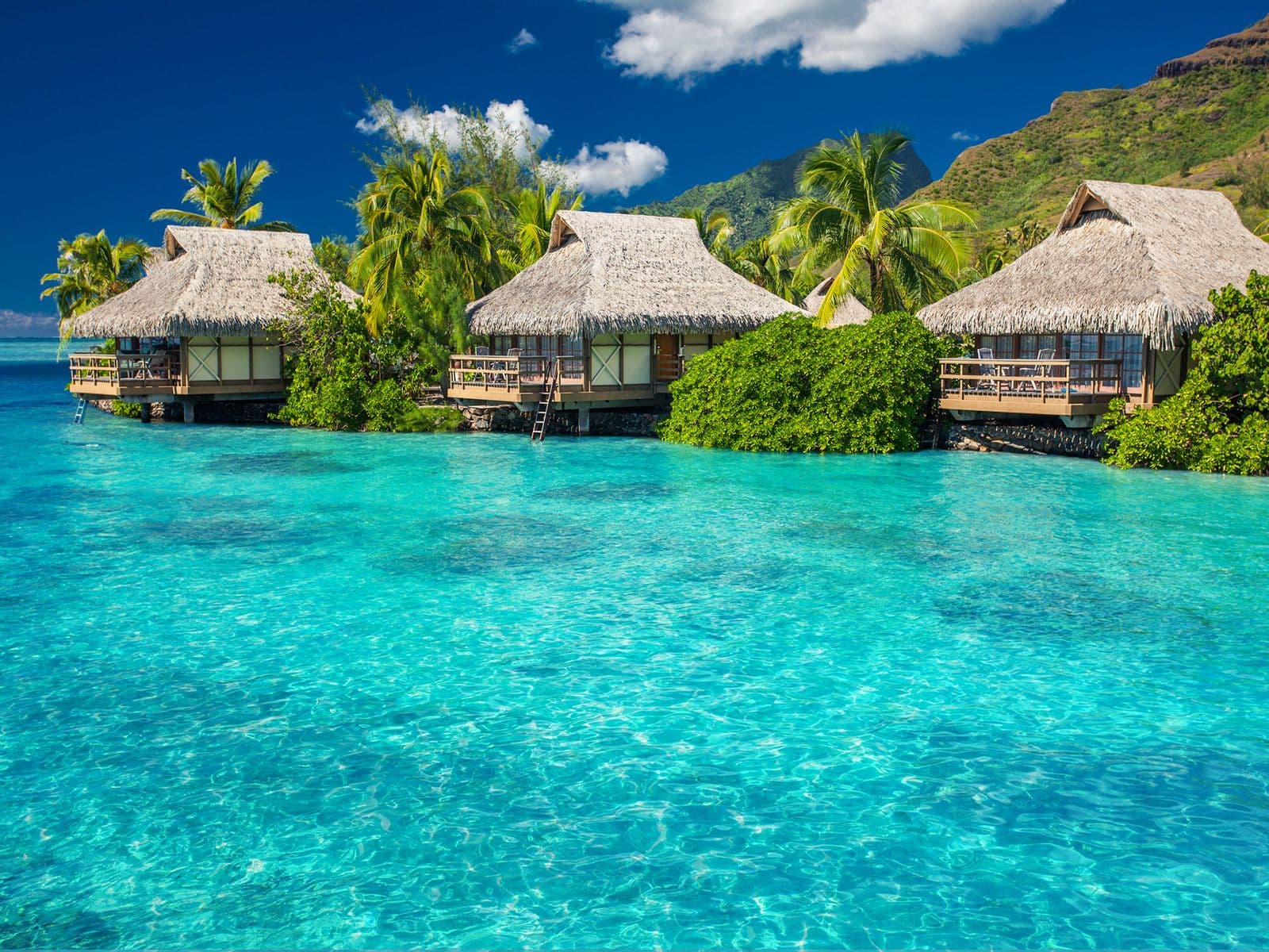 初めての海外はどこでしたか？初海外エリアTOP10楽天トラベル