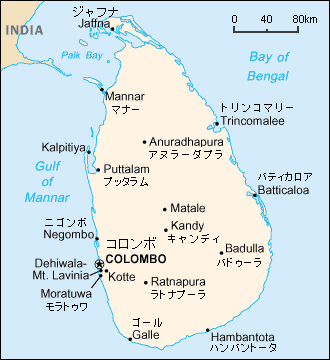 デフォルトに陥るスリランカ！今すぐ不動産を購入すべき理由とおすすめ物件をご紹介 - Real Estate