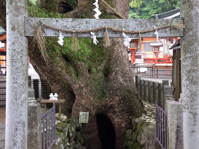 世界遺産 那智の滝 おすすめ観光ルートをご紹介！効率の良い駐車場選びについても│ひろみんママのスマイルキャンプ