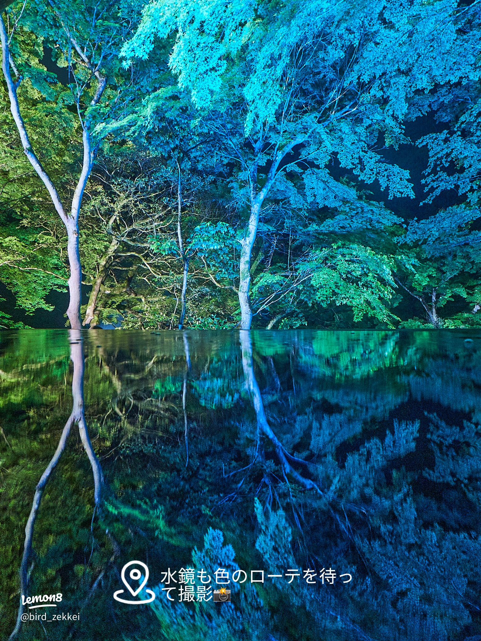 嵐山祐斎亭のライトアップ貸切見学レポート