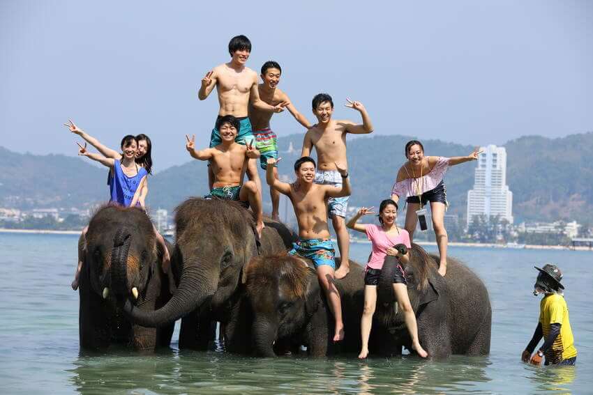 可愛いゾウさんとふれあい、水浴びさせたり、さすってあげたり、Trip.com プーケット