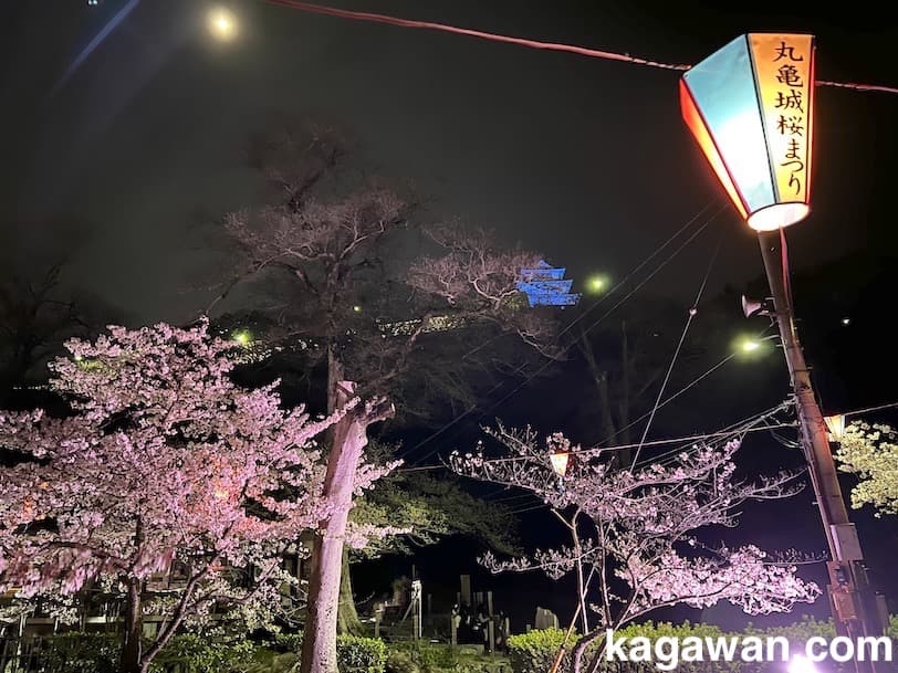 丸亀城観光ガイド2025日本一の石垣・現存天守・絶景・文化体験。丸亀城の見どころを徹底解説 - 週末はじめました