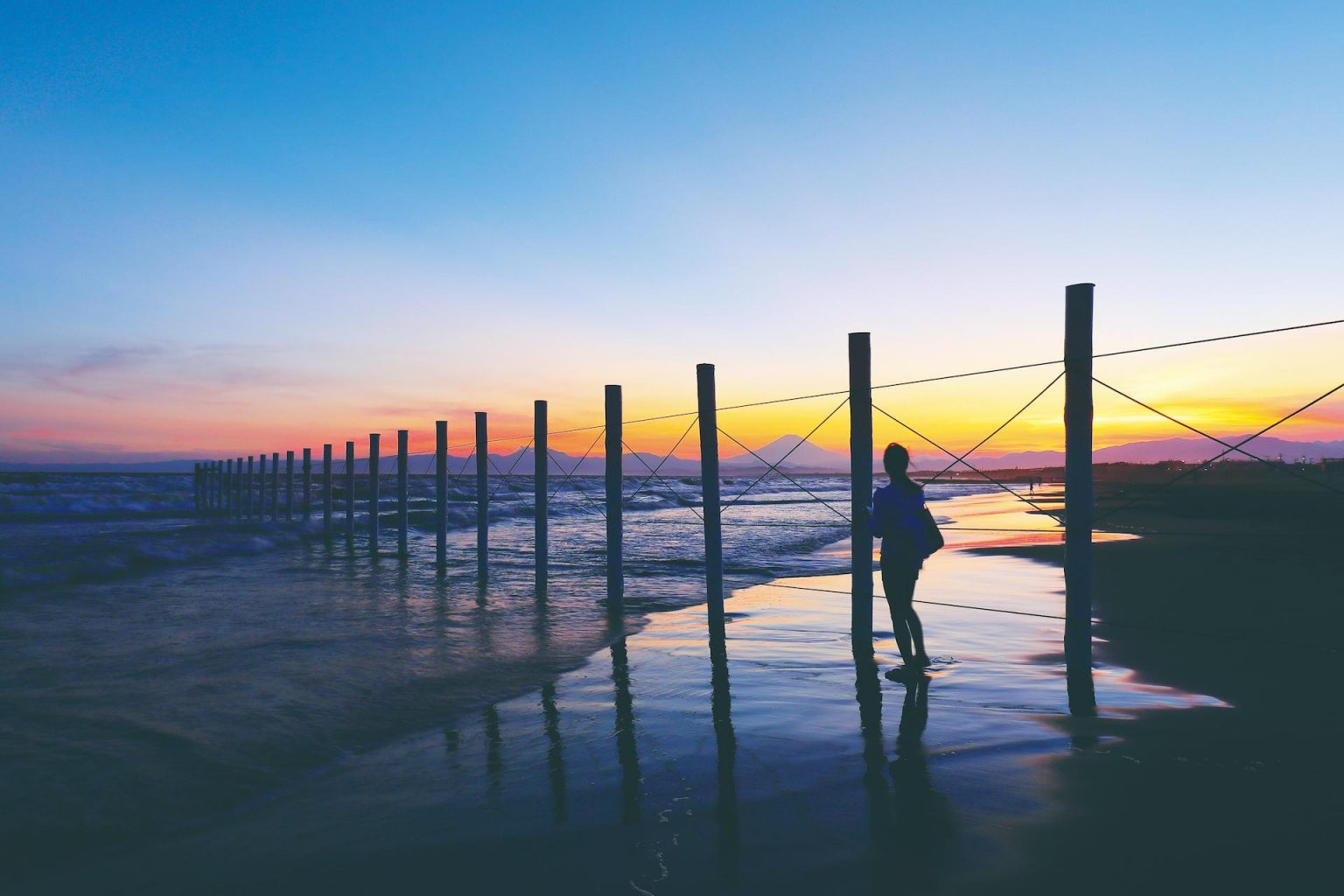 神奈川県立湘南海岸公園-園内マップ湘南なぎさパーク