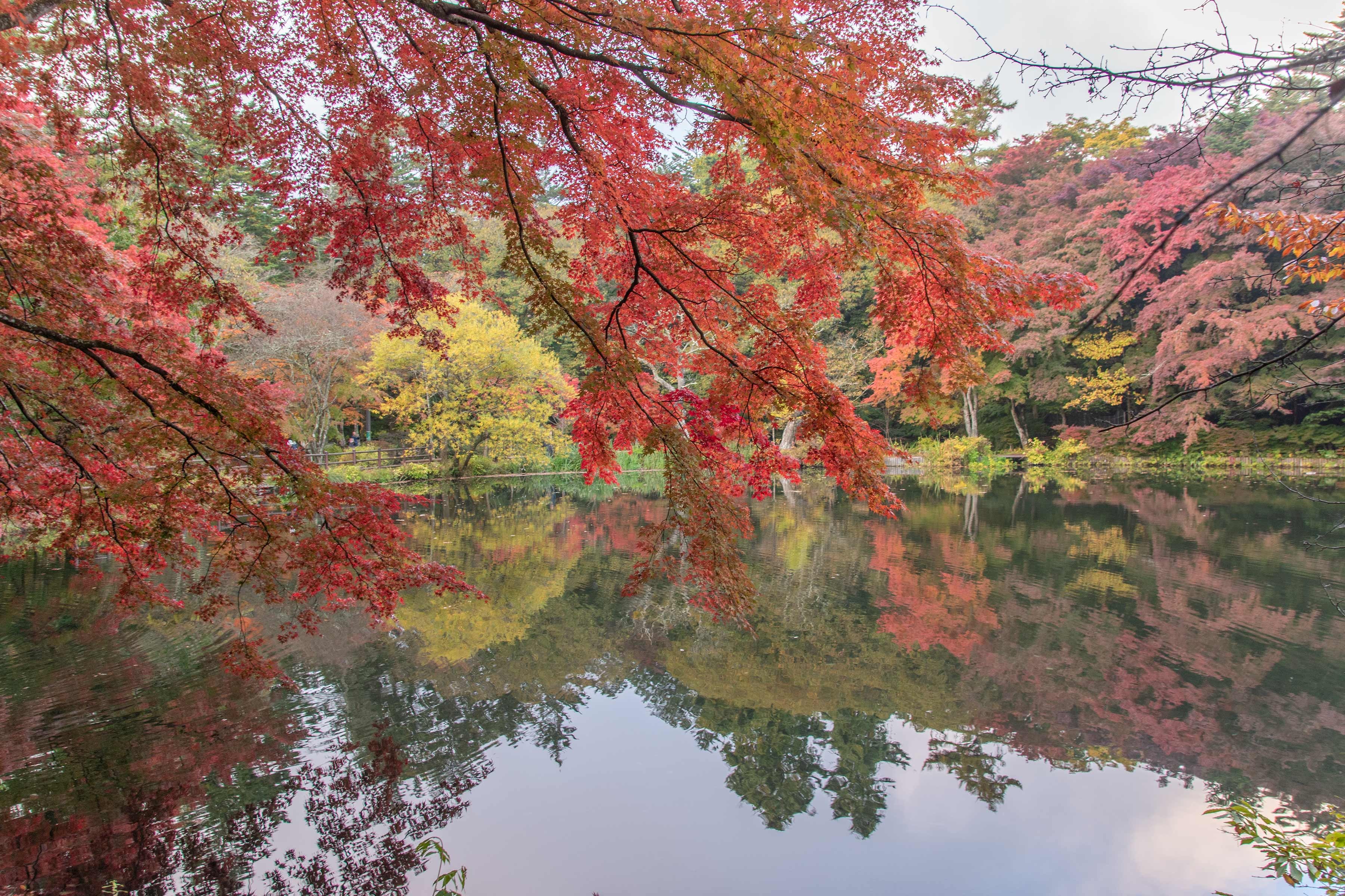 秋の軽井沢旅行におすすめのホテル13選紅葉を望むホテルやおしゃれホテルなど♪ 長野icotto イコット