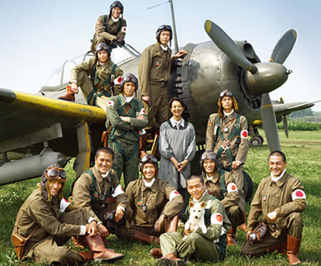 知覧茶について - 知覧茶・鹿児島茶の専門店