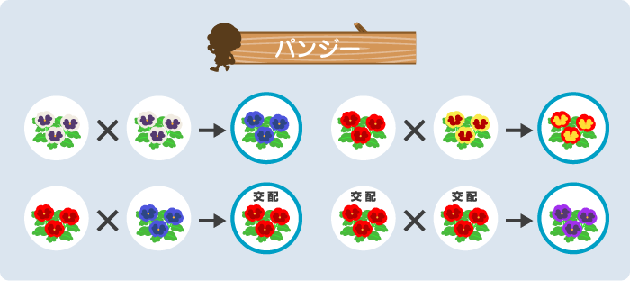 まゆたん on Twitter: 