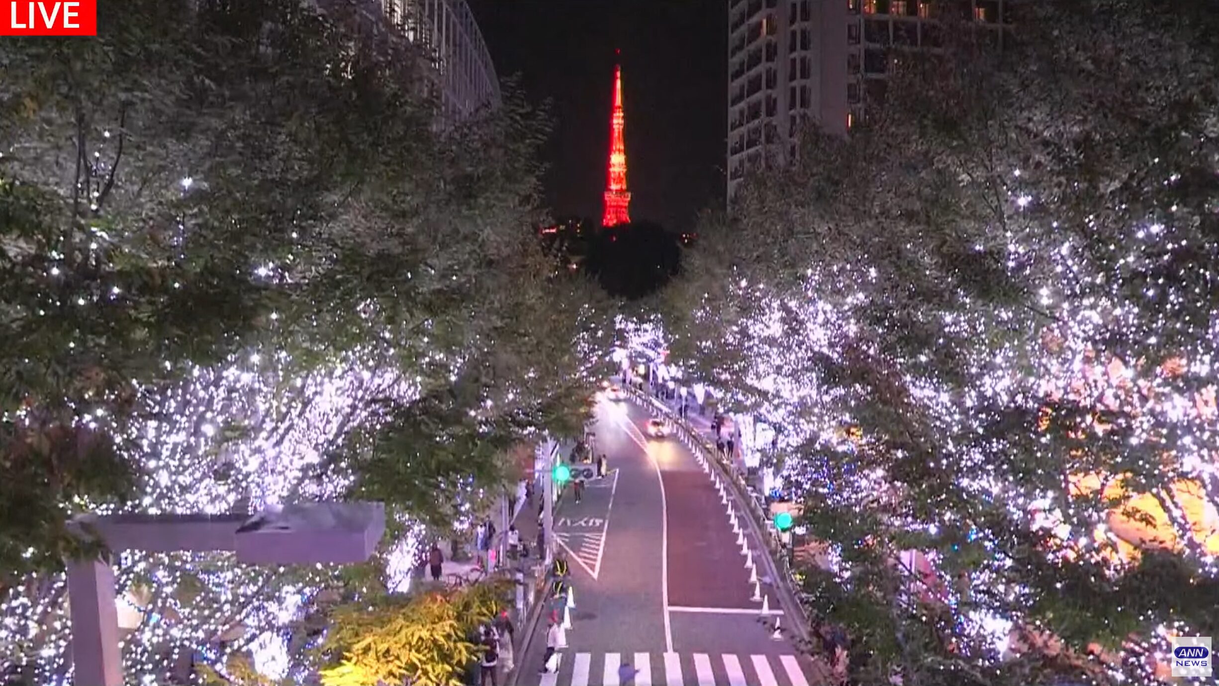 🎄 4K.六本木 六本木ヒルズとけやき坂イルミネーションをぐるっとご案内