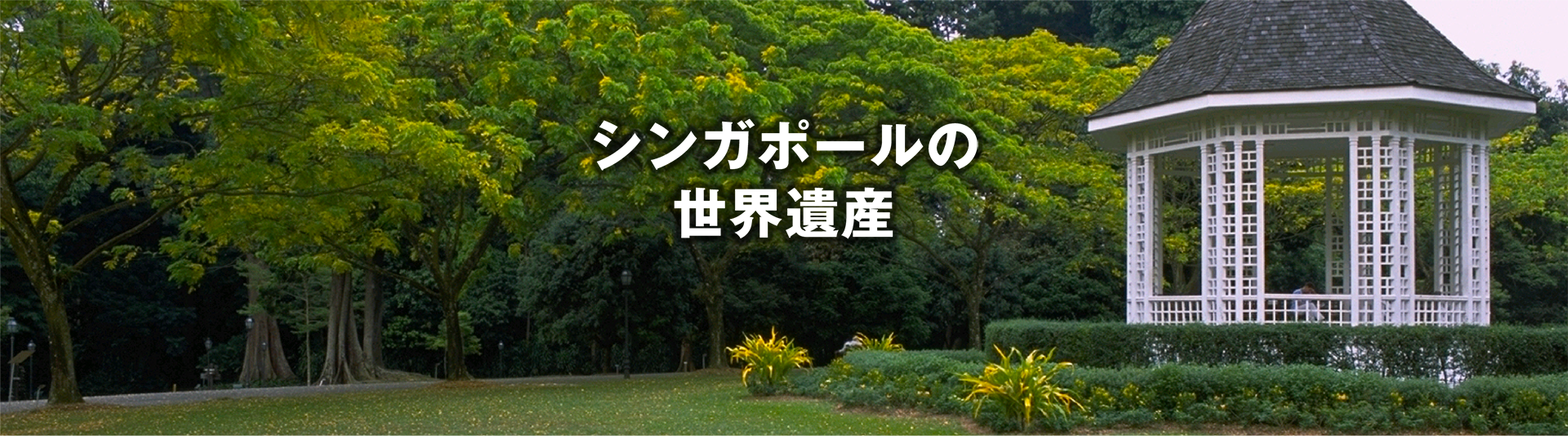 シンガポールの世界遺産「シンガポール植物園」とは？世界遺産マニアが解説世界遺産マニア