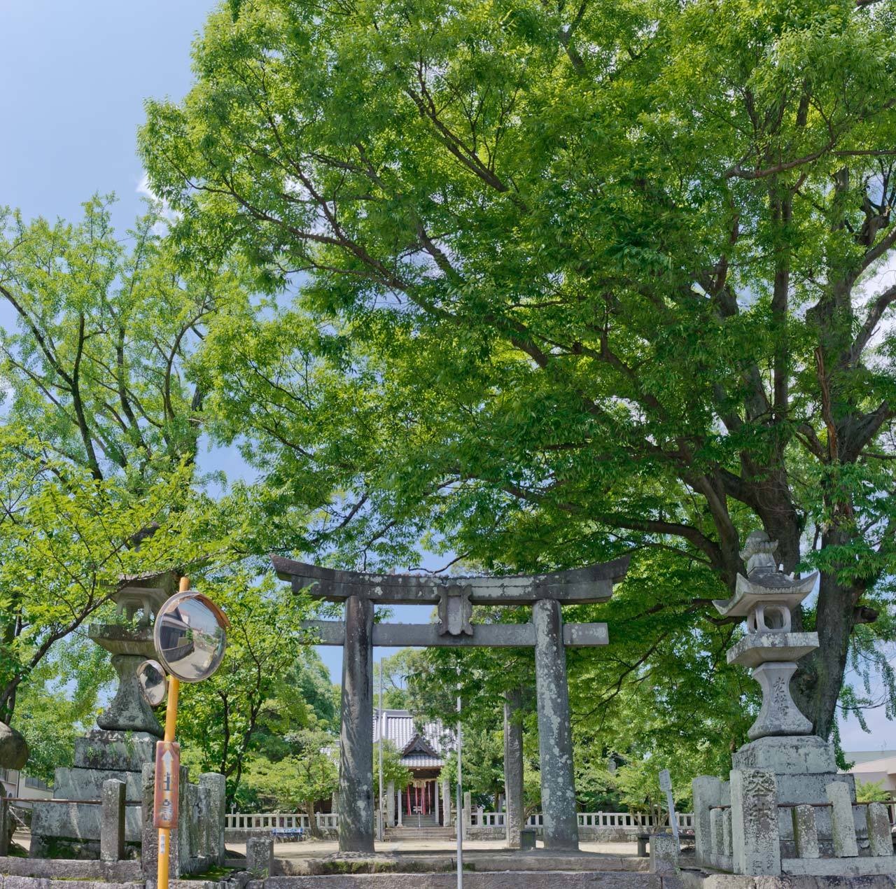 柿本 優空サガン鳥栖U-18選手詳細