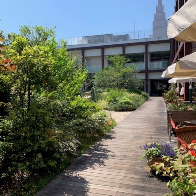 新宿高島屋タイムズスクエアとNTTドコモ代々木ビル 11019036586 の写真・イラスト素材アマナイメージズ