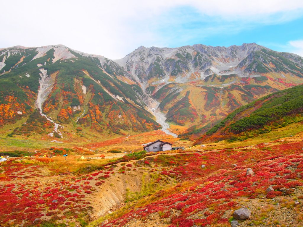 標高2,277mの天空のキャンプ場雷鳥沢キャンプ場⛺️🌠 立山連峰や大日連山をぐるりと見渡せる場所に、夏になるとカラフルなテントが立ち並びます🏕✨🌿足元には色とりどりの高山植物、見上げれば満天の星空✨️ お天気に恵まれれば、プラネタリウムにいるかのような