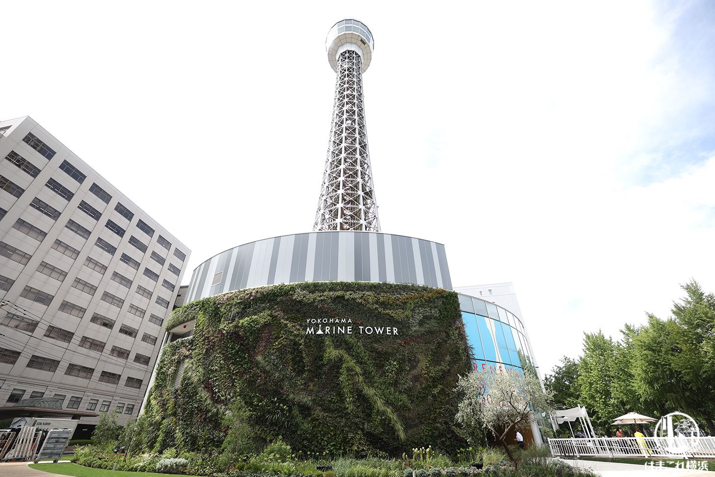 横浜ソーシャルギフトはまポン食べて！遊んで！ハマって！ハマ旅