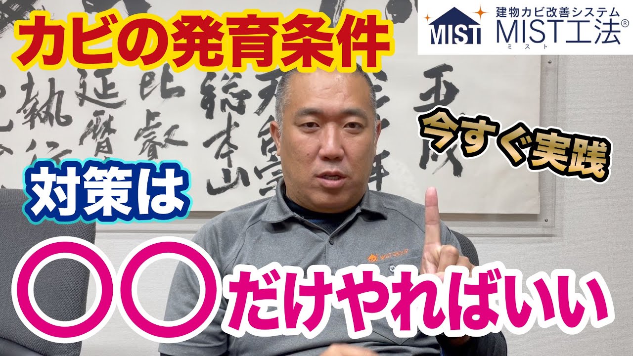 キャンプ用品の自宅収納術！おしゃれに片付けてギアを長持ちさせる完全ガイド – TOKYO CRAFTS