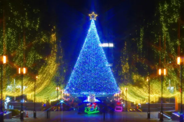 お台場海浜公園の夜景情報 行き方・入場料金・営業時間・景色