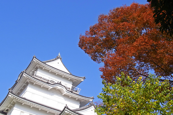 小田原 美しくて見惚れてしまう紅葉を見に行こう！おすすめ6選aumo アウモ