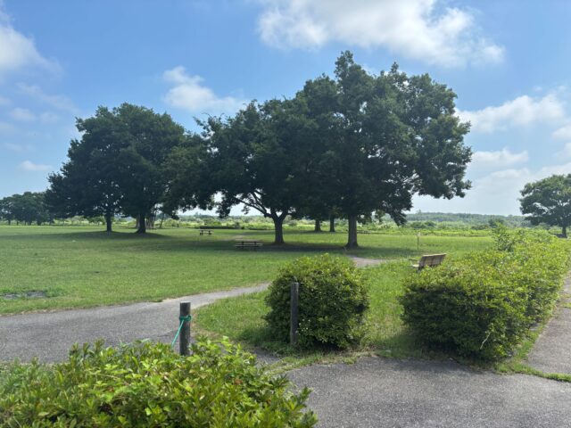 鬼怒川緑地運動公園でDay Camp - Leo-Roy's Diary