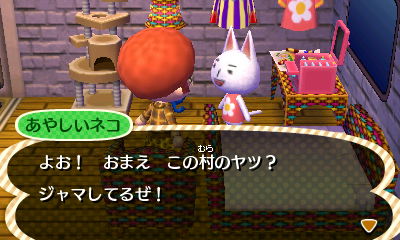 どうぶつの森ハッピーホームデザイナー 1 データーが消えてしまったの回