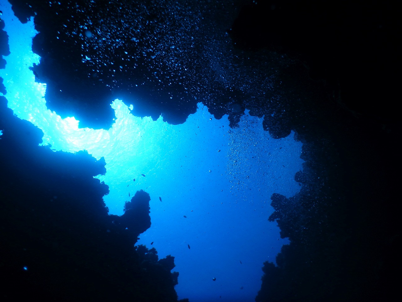 スキューバダイビング エジプト：ダハブMasa Life Blog