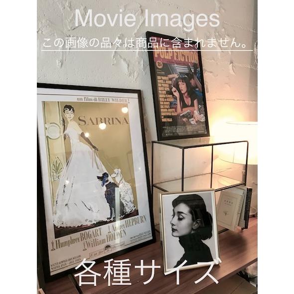 445点のフィン・ホワイトヘッドの写真と高解像度写真 - Getty