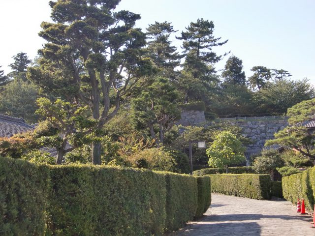 松坂城跡 松阪公園- 津の時間。 津市観光協会