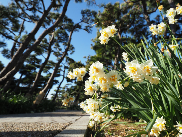 虹の大橋おすすめスポット - みんカラ