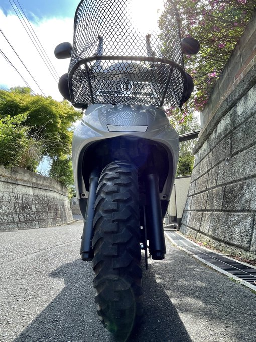 都幾川桜堤の桜開花・満開 天気情報 2025 -