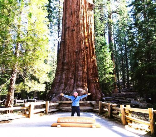 セコイア国立公園 CA の厳選ホテル・宿