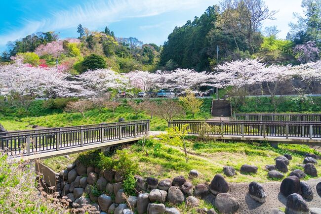佐久間ダム湖親水公園の周辺 子供の遊び場・子連れお出かけスポットいこーよ