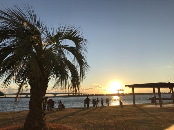 浜名湖 弁天島海浜公園静岡県・浜松市釣具のイシグロ釣り情報サイト