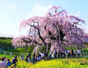 福島ドライブ定番コース！王道観光スポットと絶景を巡るおすすめルート - じゃらんレンタカードライブガイド