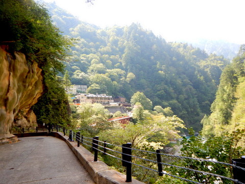 黒部峡谷トロッコ電車』に乗って、新緑・紅葉めぐり。観光情報特集「TOYAMA STYLE」VISIT富山県