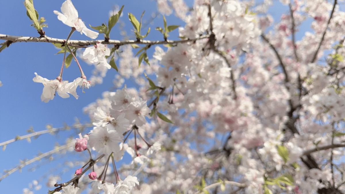 法華原華庭園 -福岡県 の詳細情報ことりっぷ