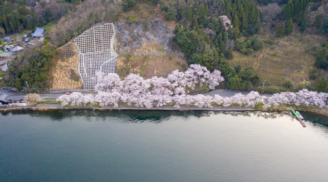 滋賀 絶景フォトスポット☆滋賀を代表する桜の名所「海津大崎」散策＆びわ湖大津プリンスホテル37階絶景ダイニングでランチバイキング♪滋賀 の魅力がぎっしり「道の駅びわ湖大橋米プラザ」でお買い物！新大阪発滋賀バスツアー・日帰りバスツアーを予約するなら