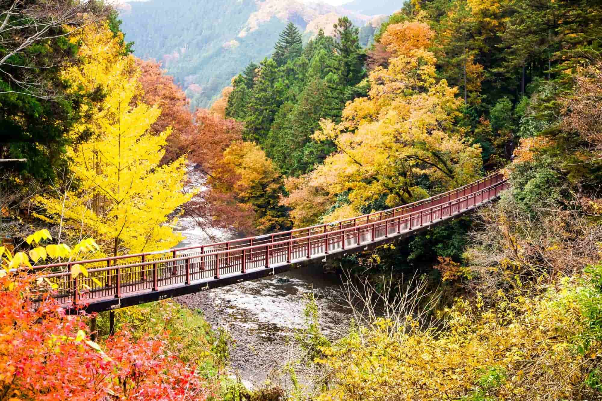 秋川渓谷へのアクセスを紹介します。あきる野市