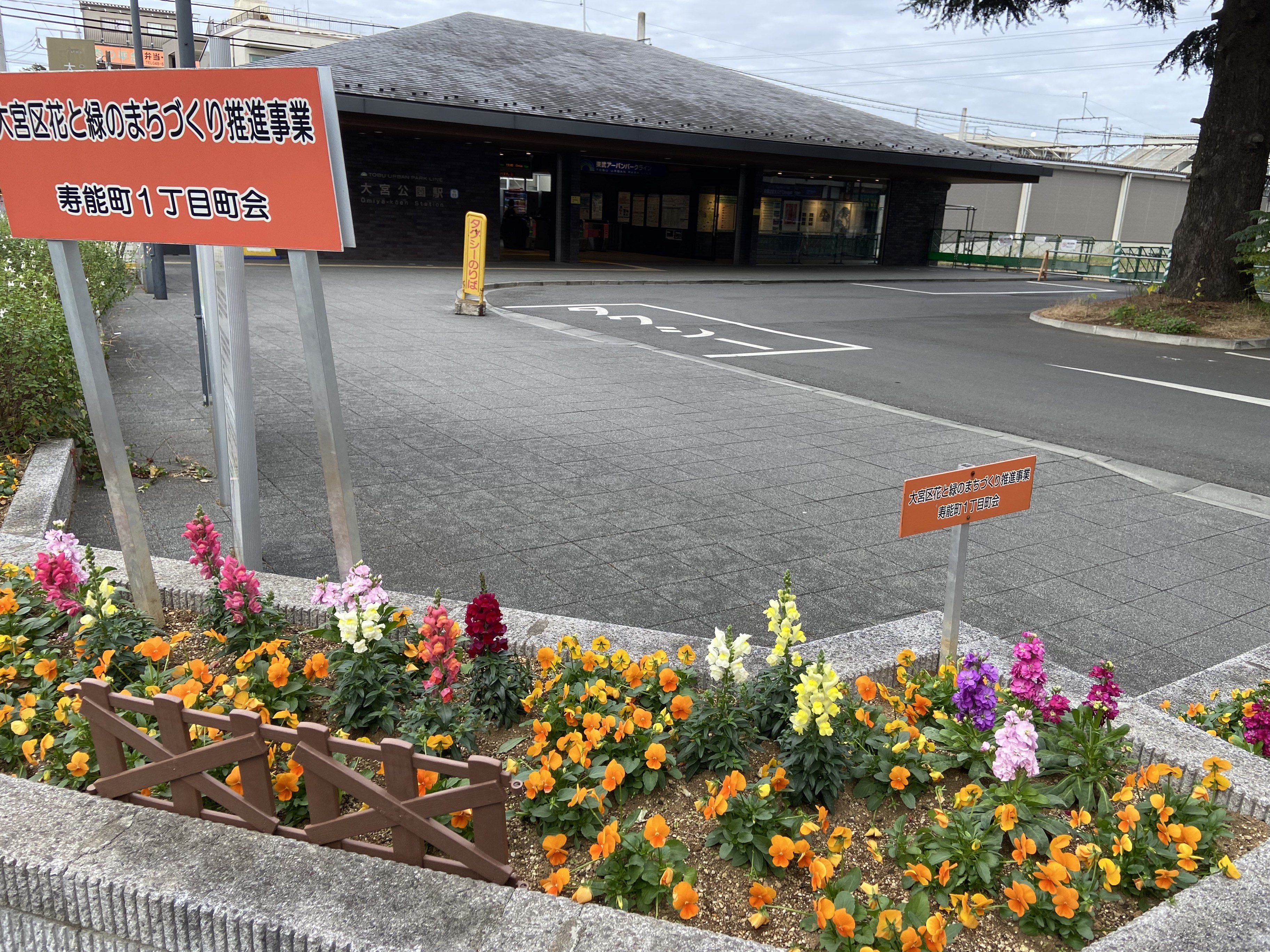 大宮競輪場東日本競輪発祥の地 森に囲まれた500バンク