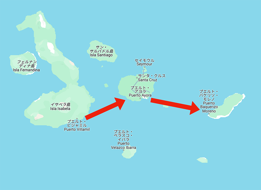ガラパゴス諸島でサメ密猟か エクアドル当局が中国漁船を拿捕 -