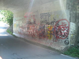 旧本坂トンネル調査編 - 20170119_383776.jpg