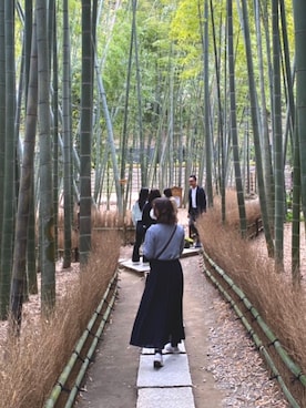 夏の鎌倉コーディネートのアイデア2025 年のリアルなLemon8ユーザー体験