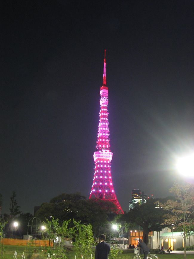 ♡ 東京タワーと彼岸花 ピンクの光が真っ白なお花もピンクに染めています🩷